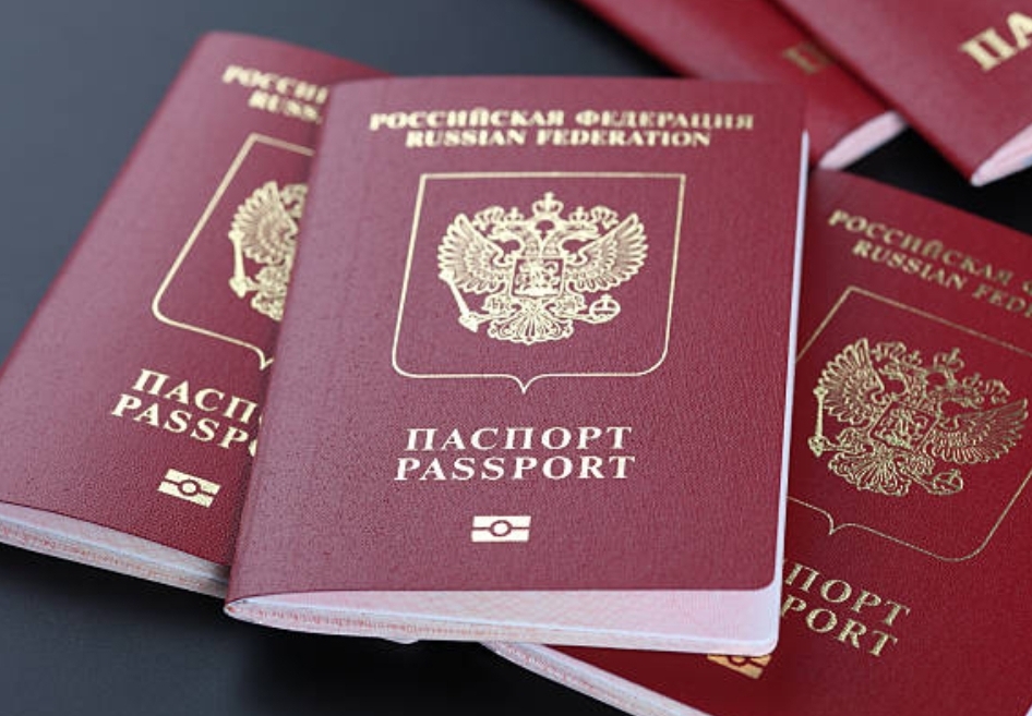 Renew International Passport